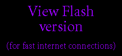 Go to the Flash version website